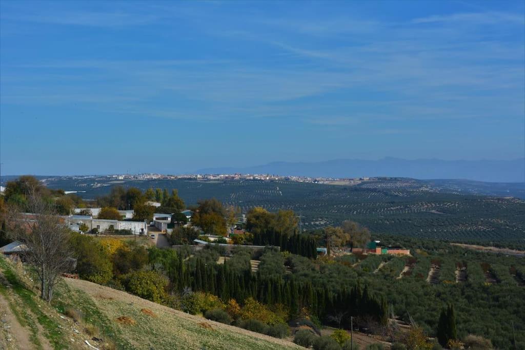 Mirador Del Guadalquivir Apartman Baeza Kültér fotó